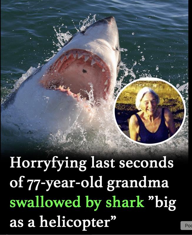 Terrifying last seconds of 77-year-old grandma swallowed by shark big as a helicopter