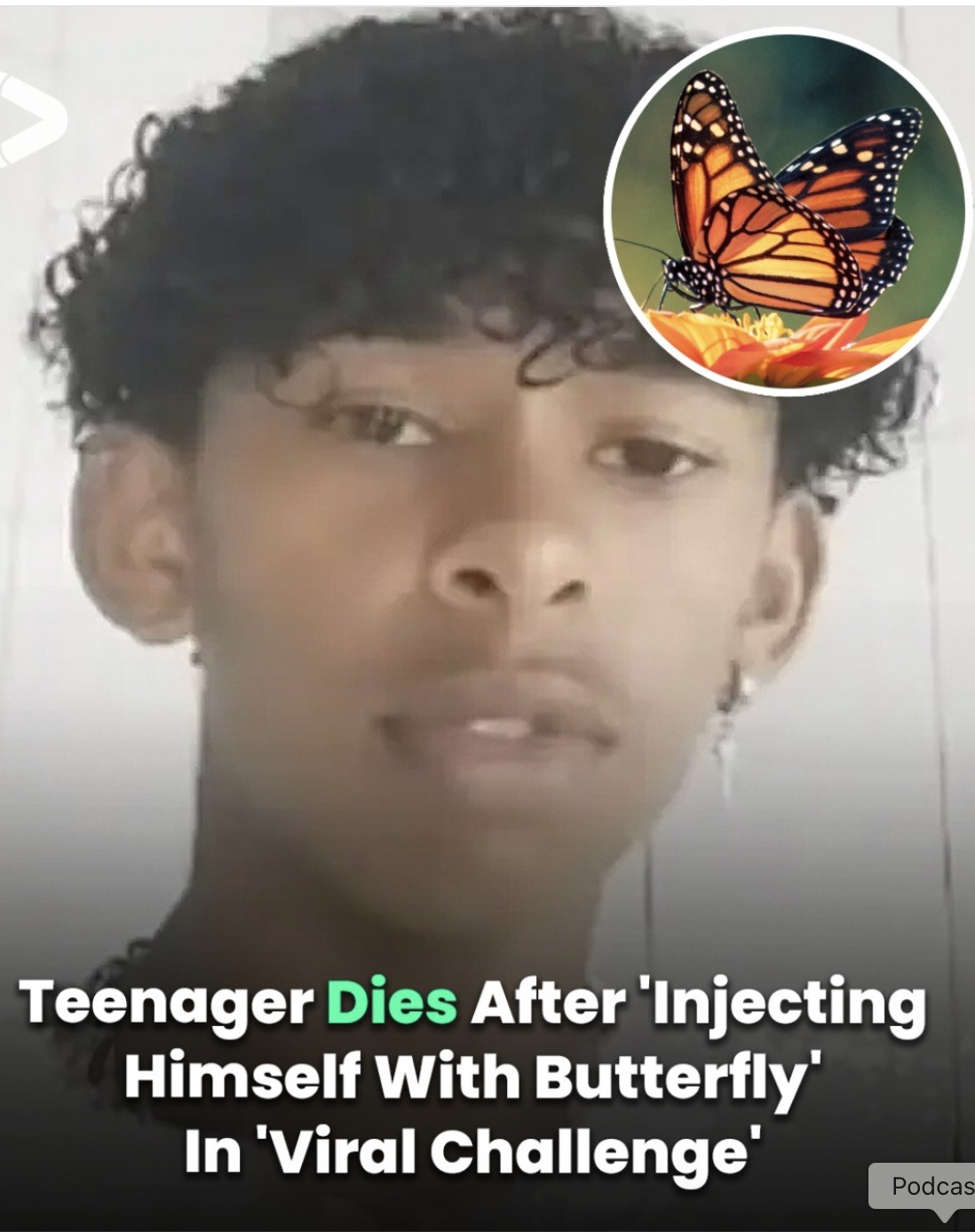 Boy, 14, dies after injecting himself with butterfly in viral online challenge