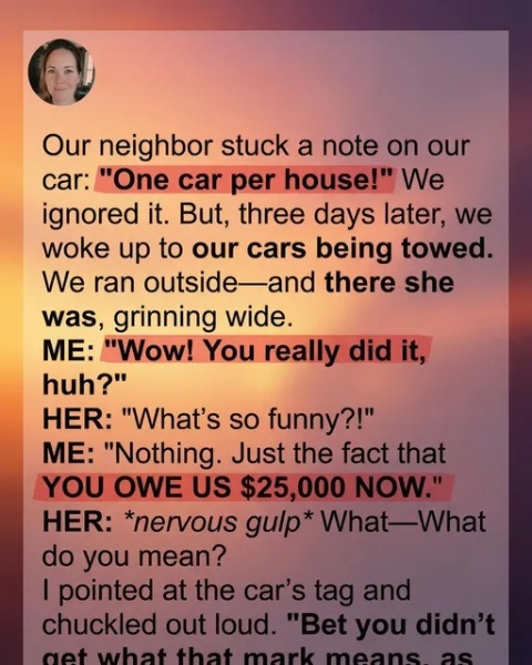 Our Meddling Neighbor Had Our Cars Towed from Our Own Driveway, She Quickly Regretted It