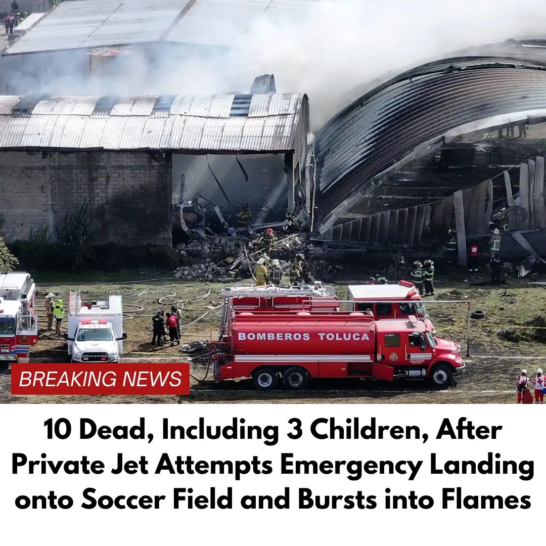 10 Dead, Including 3 Children, After Private Jet Attempts Emergency Landing onto Soccer Field and Bursts into Flames