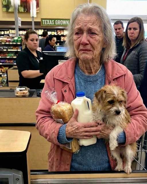 I Paid for a Struggling Grandma at the Grocery Store – Three Days Later, the Clerk Came to My Door with Her Final Request!