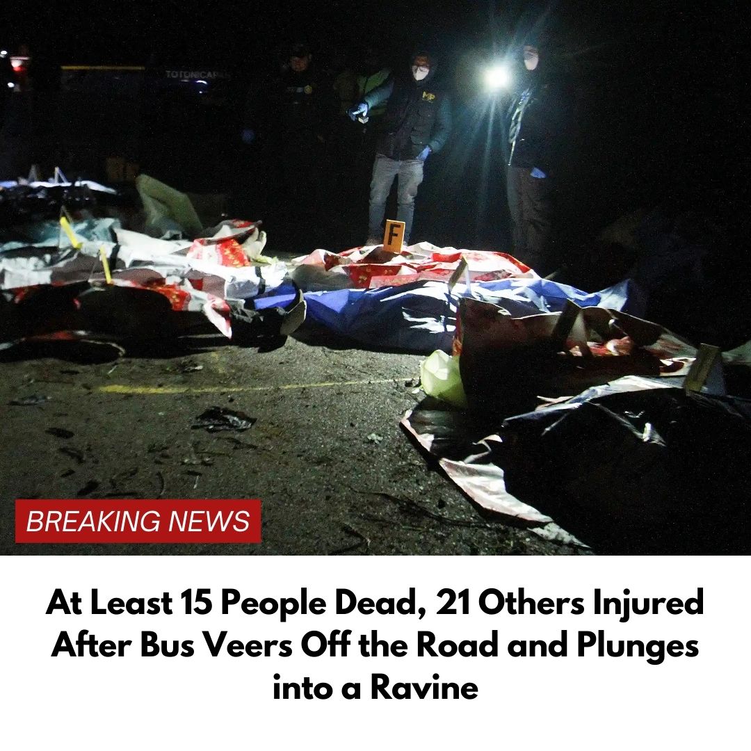 At Least 15 People Dead, 21 Others Injured After Bus Veers Off the Road and Plunges into a Ravine