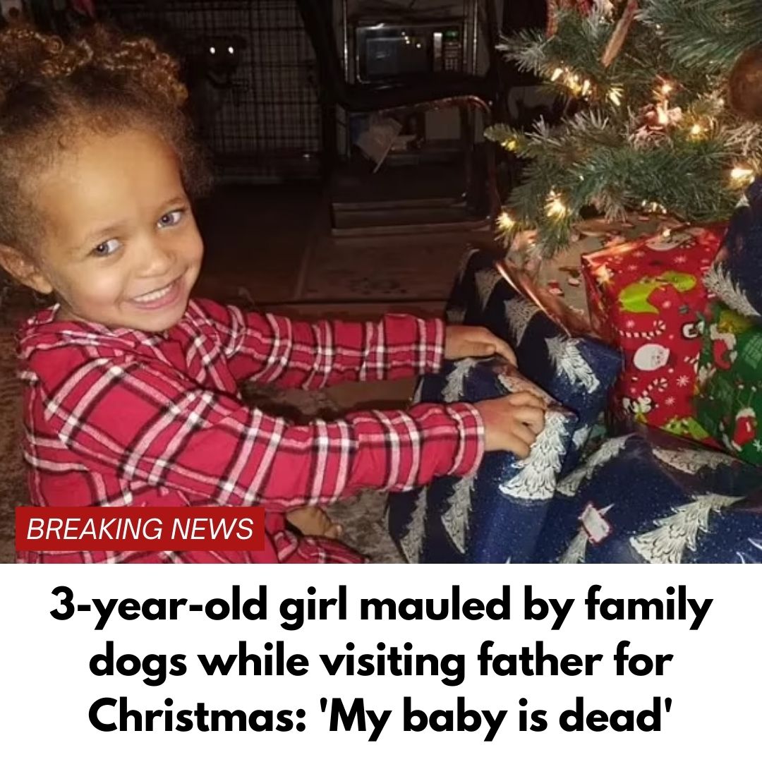 3-year-old girl mauled by family dogs while visiting father for Christmas: ‘My baby is dead’