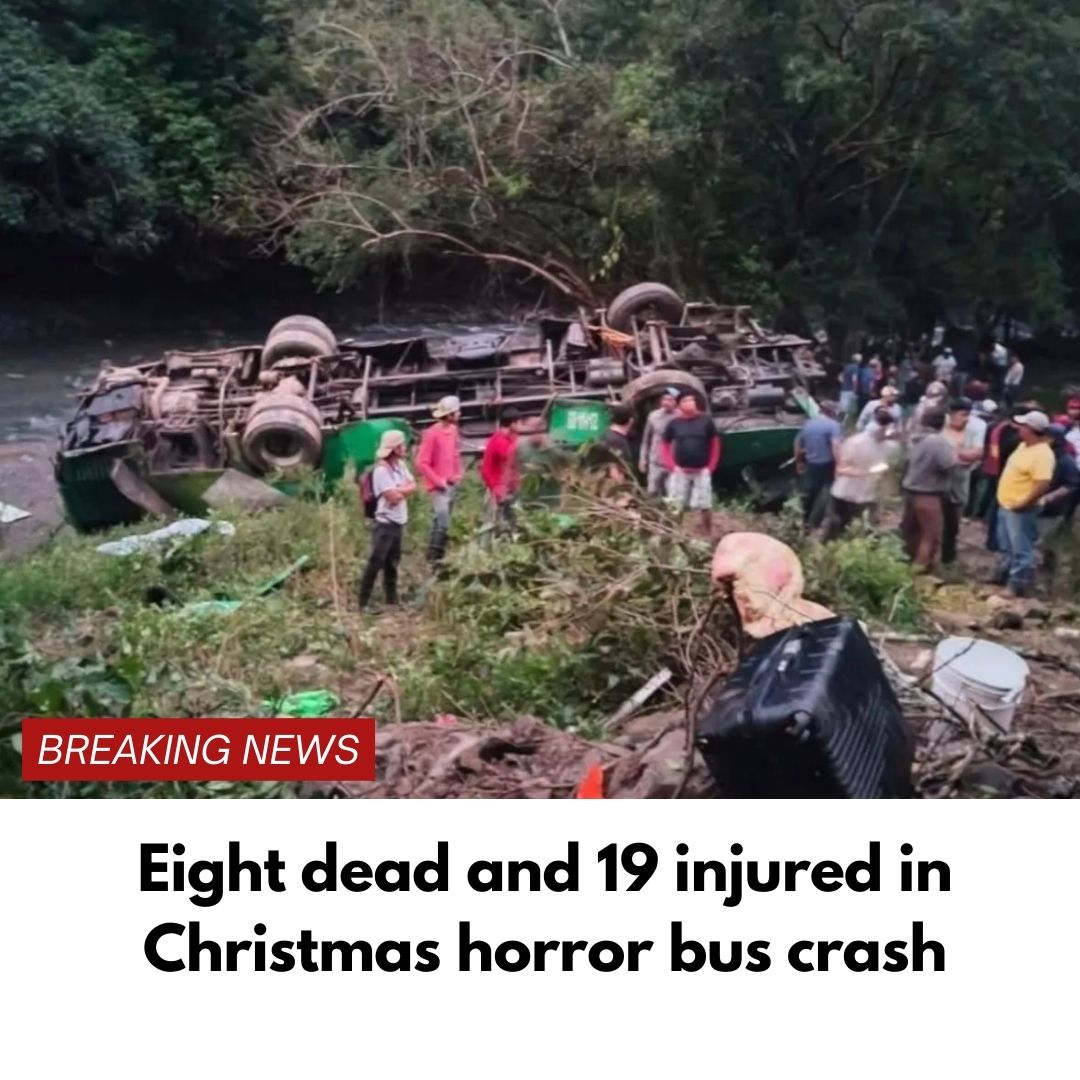 Eight dead and 19 injured in Christmas horror bus crash