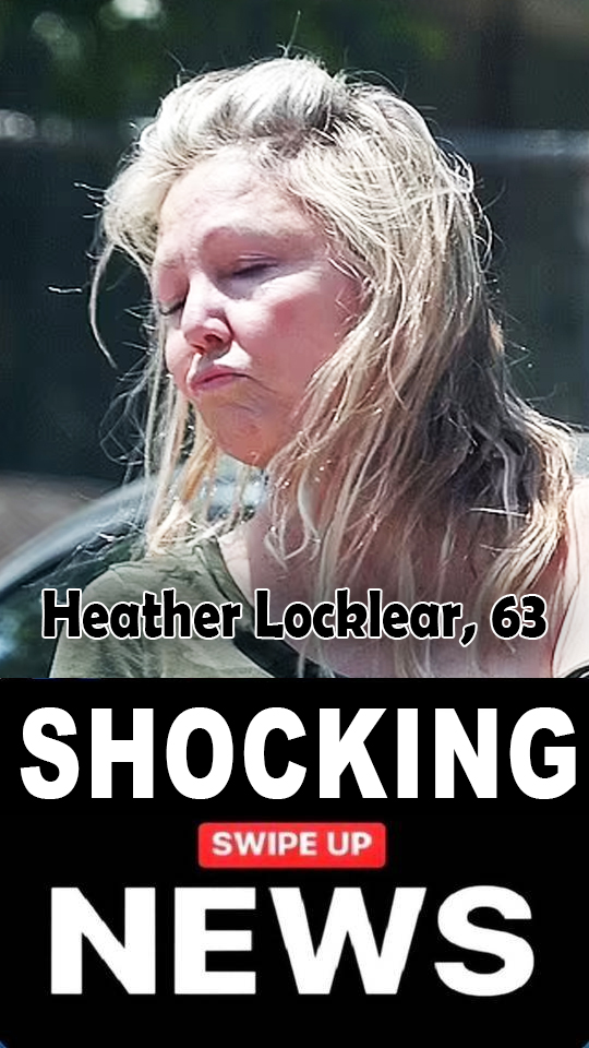 Fans Are Flipping Out Over How Great Heather Locklear, 63, Looks in New Photos