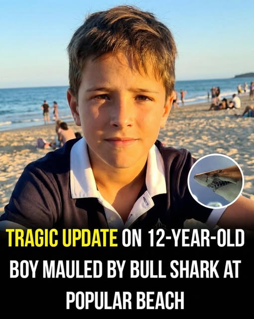 Update on a 12-Year-Old Boys Incident at a Popular Beach!