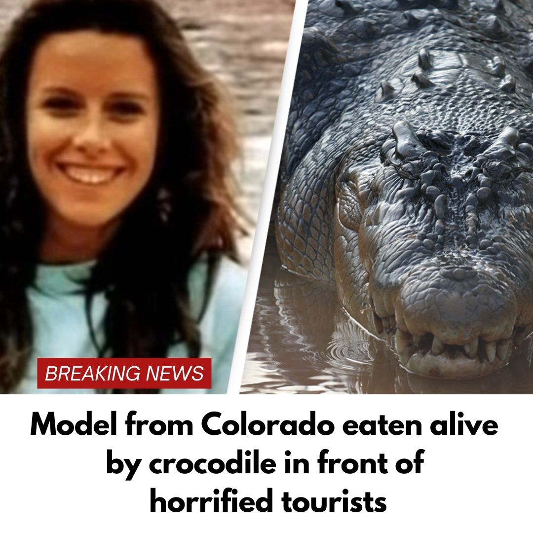 Model from Colorado eaten alive by crocodile in front of horrified tourists