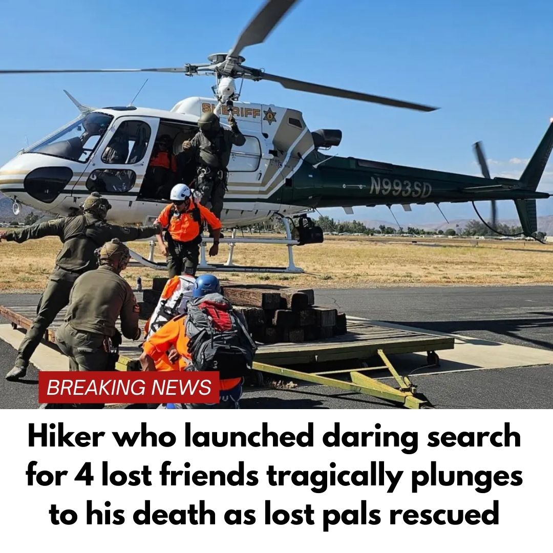 Hiker who launched daring search for 4 lost friends tragically plunges to his death as lost pals rescued