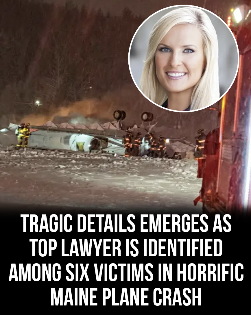 Tragic details emerge as top lawyer is identified among six victims in horrific plane crash