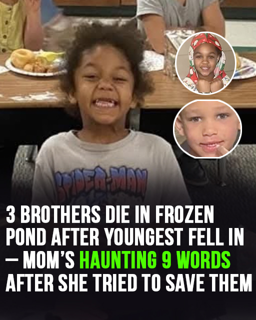3 brothers die in frozen pond after youngest fell in – mom tried desperately to save them