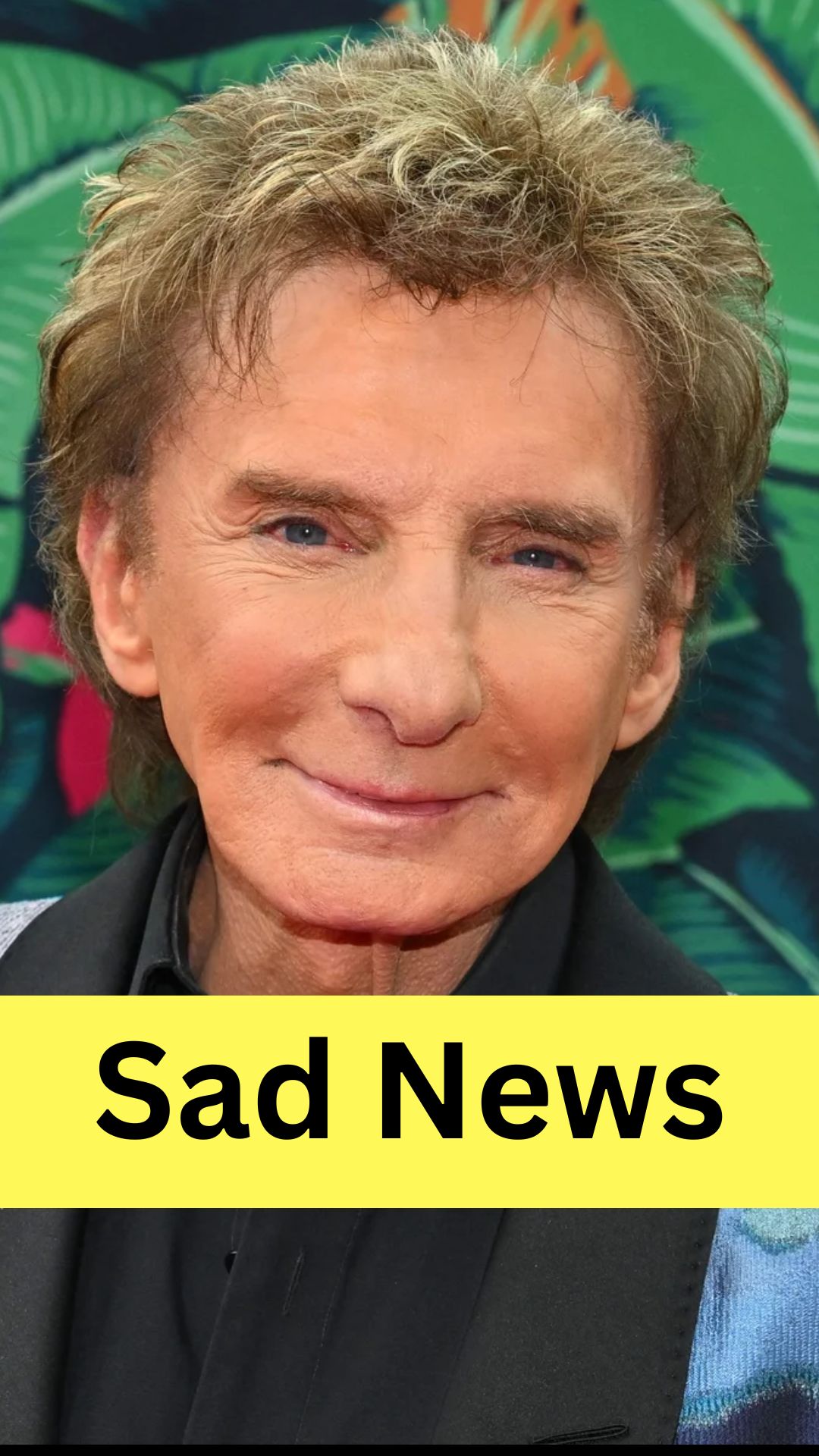 Barry Manilow Cancels Concerts After Cancer Diagnosis