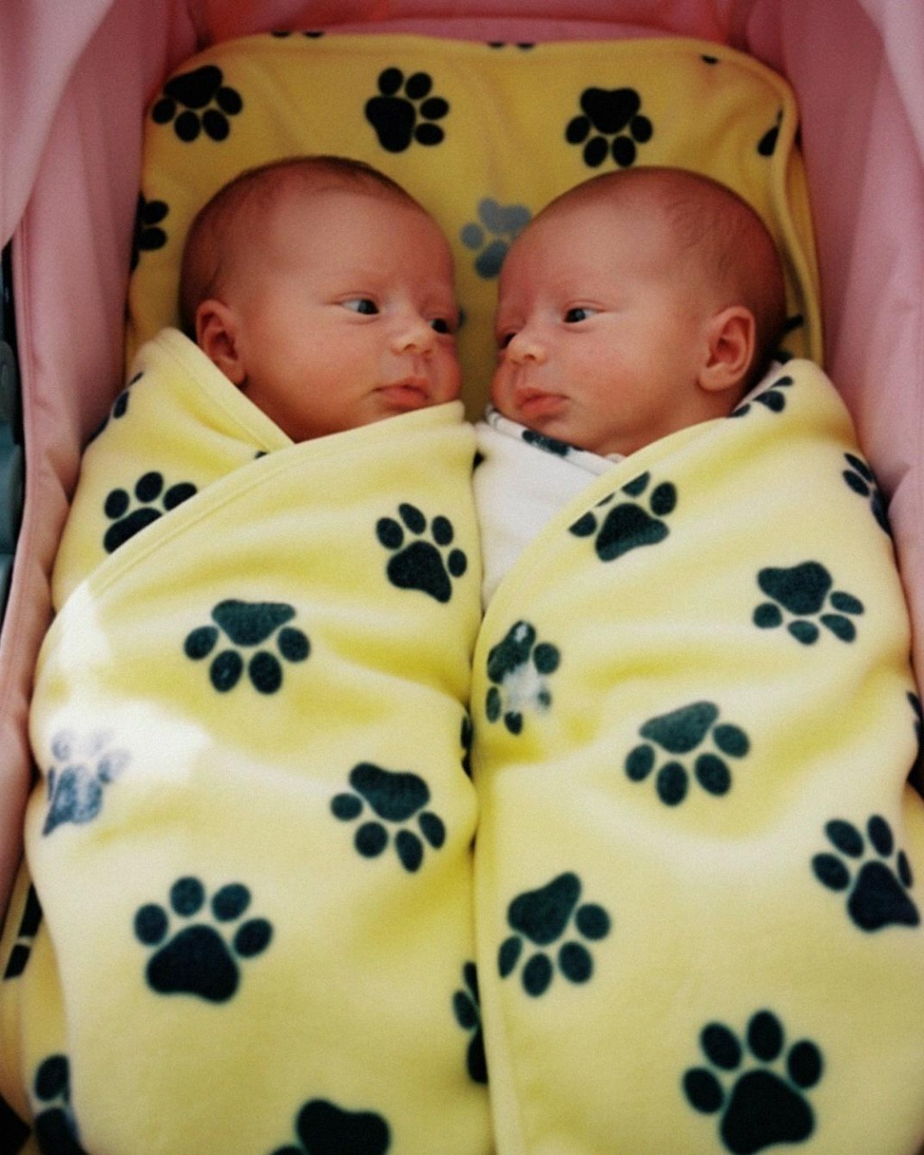‘Sorry Mom, I Couldn’t Leave Them,’ My 16-Year-Old Son Said When He Brought Newborn Twins Home