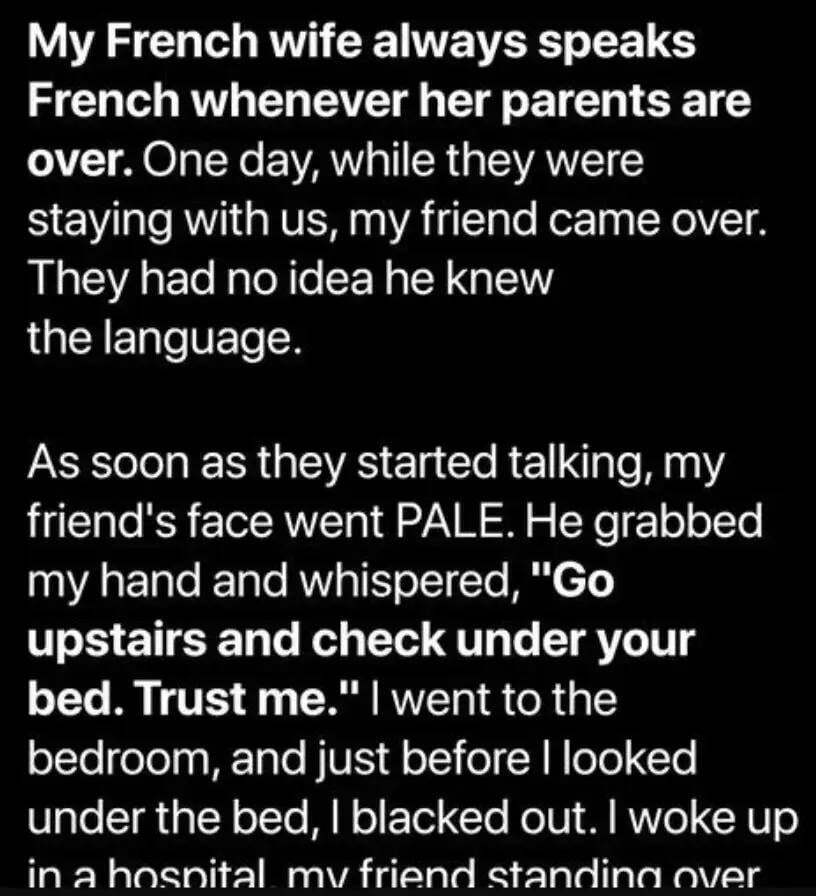 I Invited My Friend Over, and His French Skills Uncovered a Shocking Family Secret!
