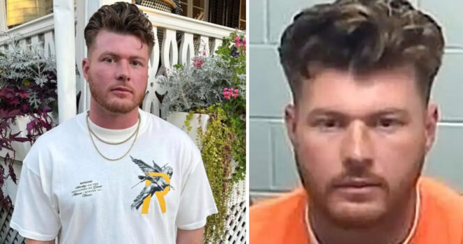 Father sentenced to prison after decapitating seagull who stole fry from daughter!