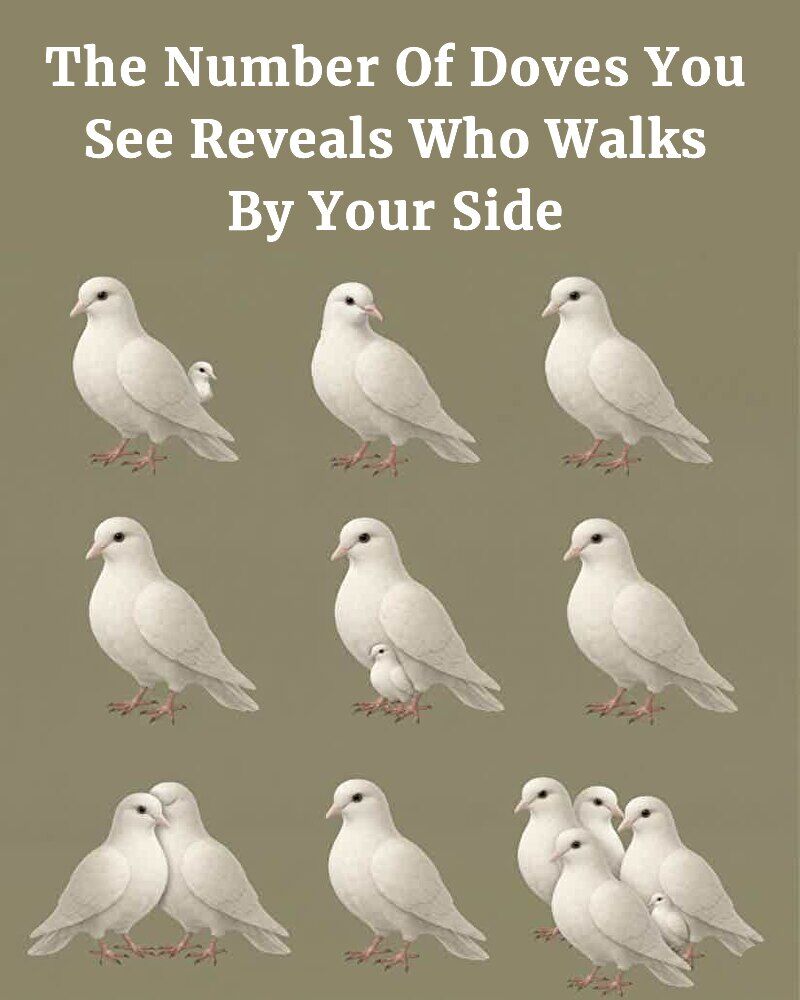 This Isn’t Random: The Secret Message in the Number of Doves You Keep Spotting!