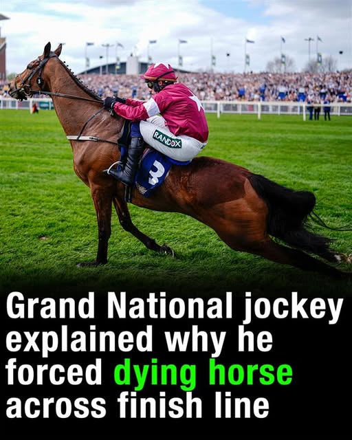 Grand National jockey explained why he forced dying horse across finish line!