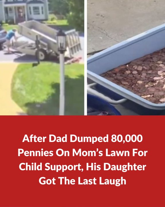 After Dad Dumped 80,000 Pennies On Mom’s Lawn For Child Support, His Daughter Got The Last Laugh!