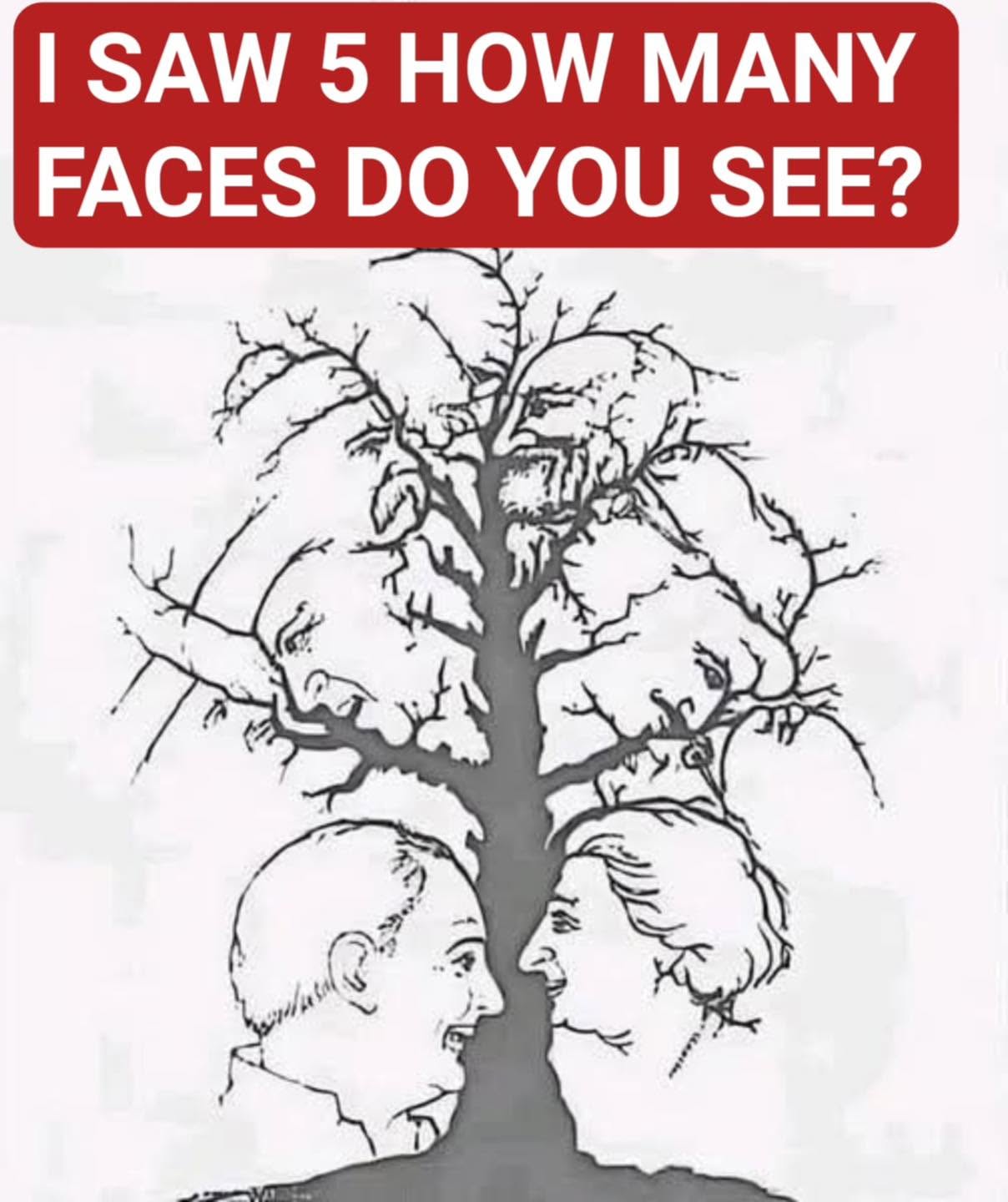 Only a few people can find all the faces hidden in this tree – are you one of them!