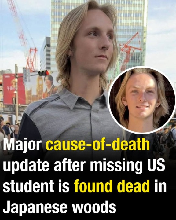 Cause-of-death update after missing US student is found dead in Japanese woods