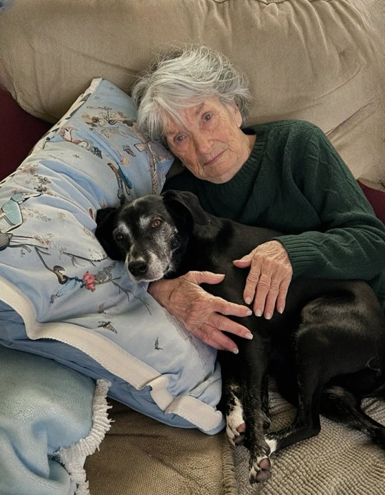 While My Family Fought Over Grandma’s Will, I Took Her Dog — and Discovered Her Secret 💔