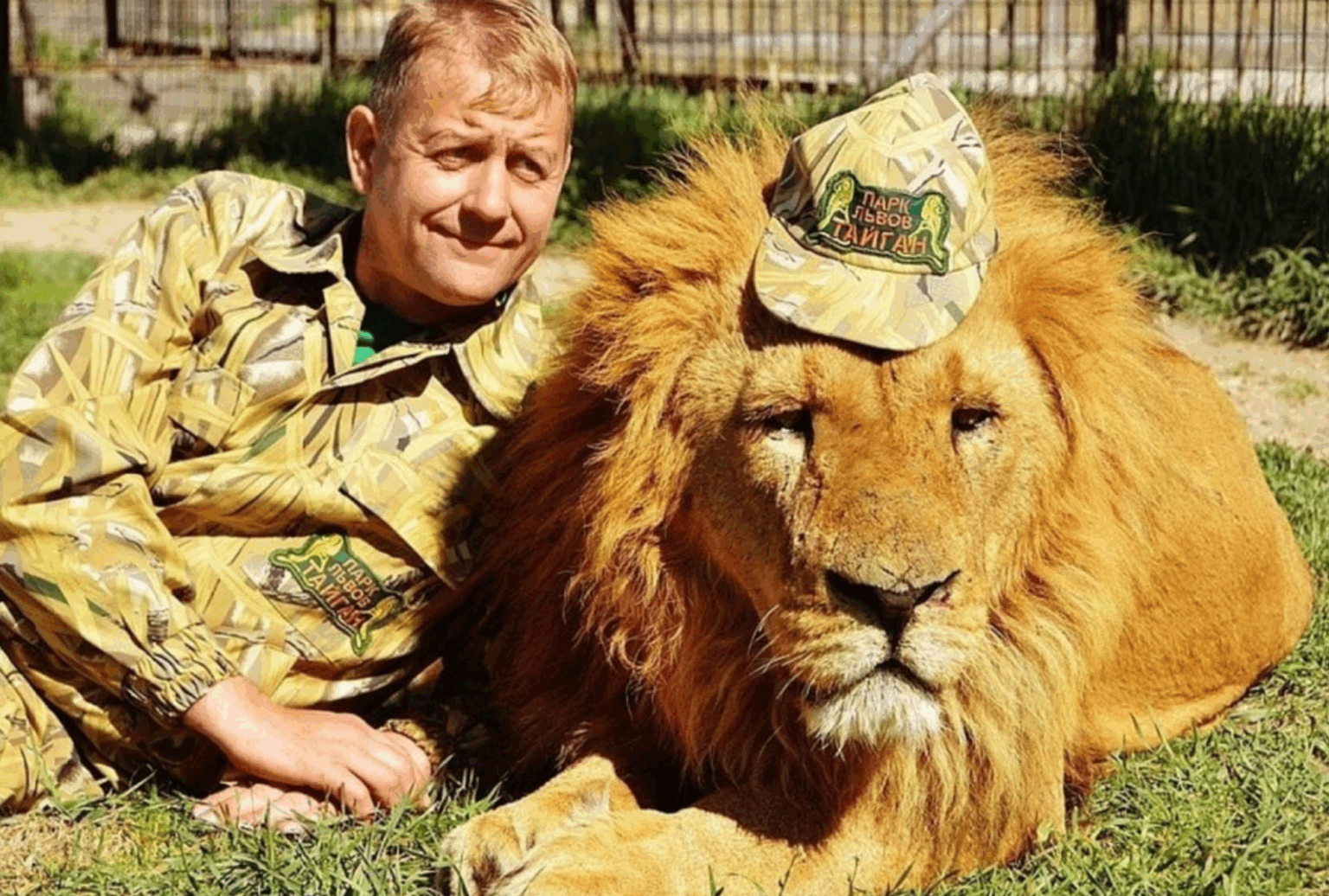 ‘Lion whisperer’ critically injured by same cat that killed colleague last year!