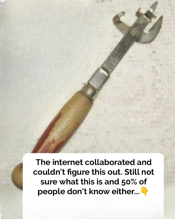 Vintage Kitchen Tool Leaves Internet Users Confused