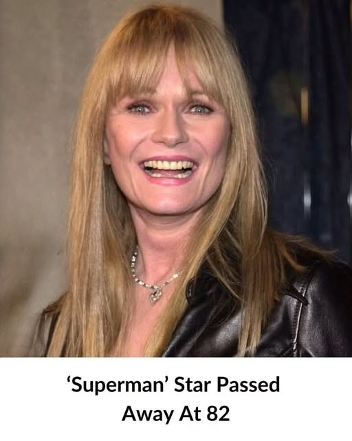 ‘Superman’ Star Dies at 82—Fans Mourn Beloved Actor
