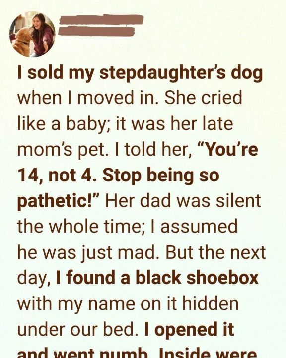 I Gave Away My Stepdaughter’s Dog for Money — What I Learned Later Destroyed Me